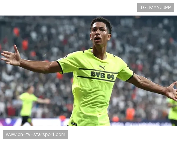 黄蜂体能研究转化为赛场真实优势