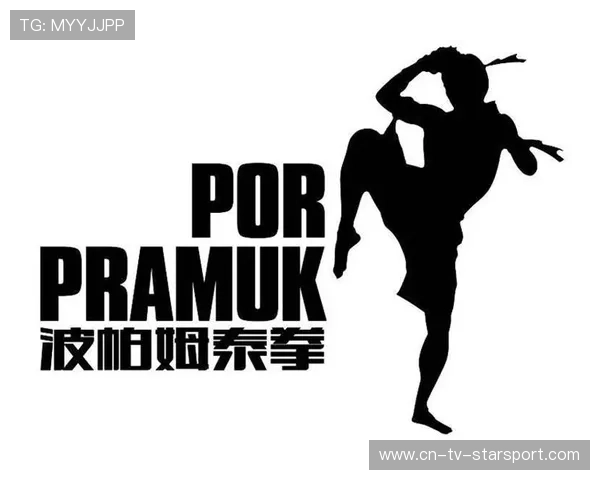 职业战队的品牌传播路径